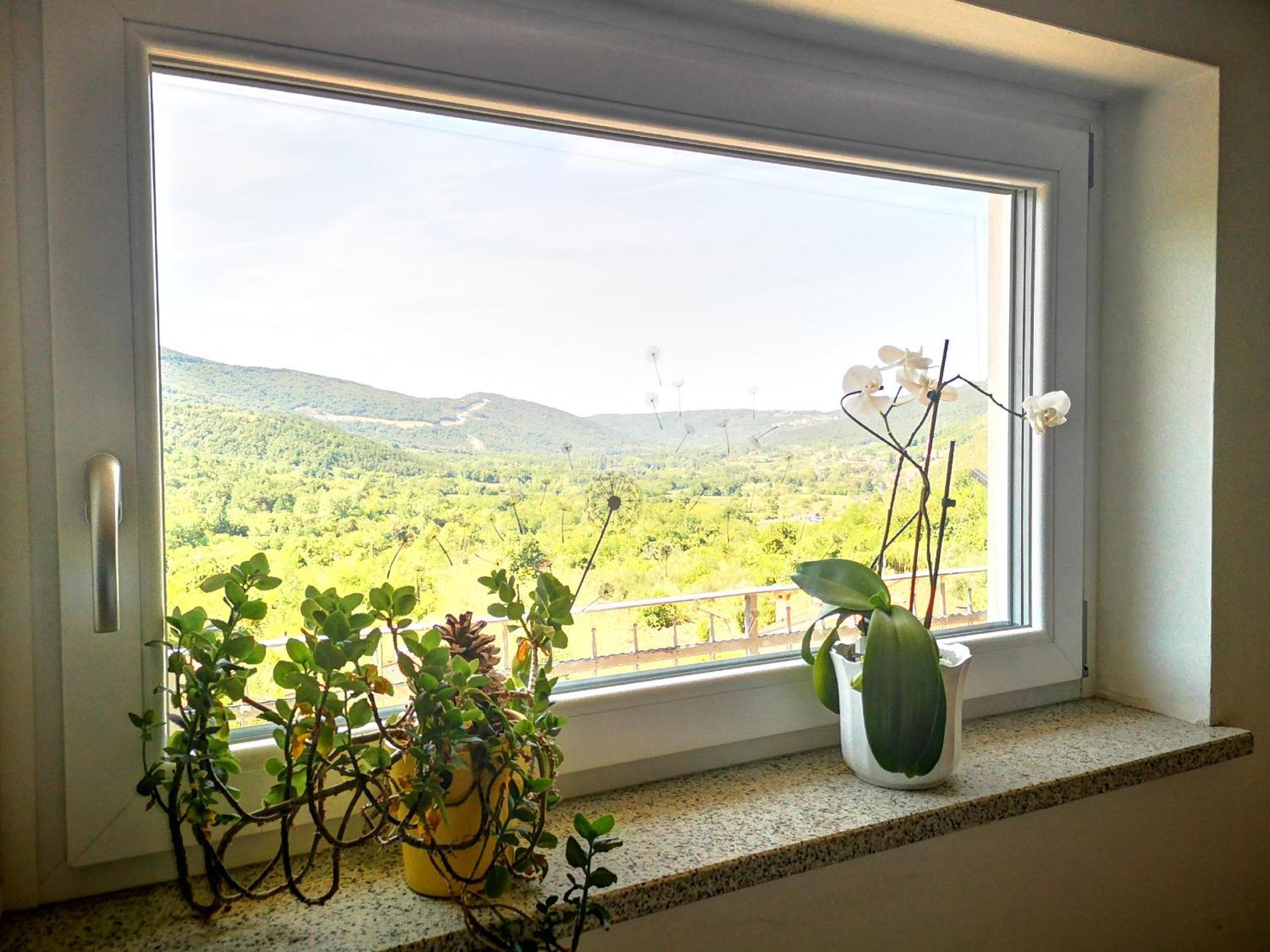 Apartma Ceh Gabrovica pri Črnem Kalu Exterior foto